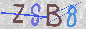 CAPTCHA (Şahıs Denetim Kodu) Resmi