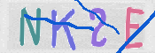 CAPTCHA (Şahıs Denetim Kodu) Resmi