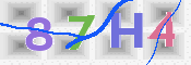CAPTCHA (Şahıs Denetim Kodu) Resmi
