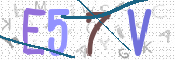 CAPTCHA (Şahıs Denetim Kodu) Resmi