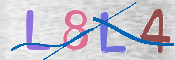 CAPTCHA (Şahıs Denetim Kodu) Resmi