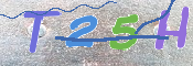 CAPTCHA (Şahıs Denetim Kodu) Resmi