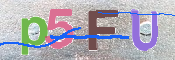 CAPTCHA (Şahıs Denetim Kodu) Resmi