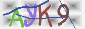 CAPTCHA (Şahıs Denetim Kodu) Resmi