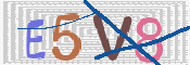 CAPTCHA (Şahıs Denetim Kodu) Resmi