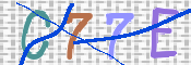 CAPTCHA (Şahıs Denetim Kodu) Resmi