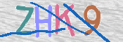 CAPTCHA (Şahıs Denetim Kodu) Resmi