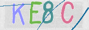 CAPTCHA (Şahıs Denetim Kodu) Resmi