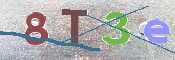 CAPTCHA (Şahıs Denetim Kodu) Resmi