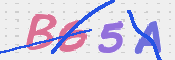 CAPTCHA (Şahıs Denetim Kodu) Resmi