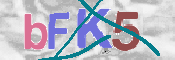 CAPTCHA (Şahıs Denetim Kodu) Resmi