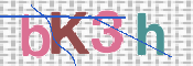 CAPTCHA (Şahıs Denetim Kodu) Resmi