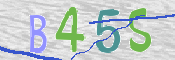 CAPTCHA (Şahıs Denetim Kodu) Resmi