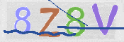 CAPTCHA (Şahıs Denetim Kodu) Resmi