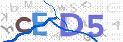 CAPTCHA (Şahıs Denetim Kodu) Resmi