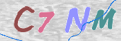 CAPTCHA (Şahıs Denetim Kodu) Resmi