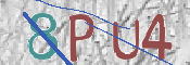 CAPTCHA (Şahıs Denetim Kodu) Resmi