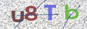 CAPTCHA (Şahıs Denetim Kodu) Resmi