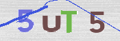 CAPTCHA (Şahıs Denetim Kodu) Resmi