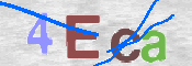 CAPTCHA (Şahıs Denetim Kodu) Resmi