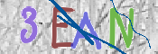 CAPTCHA (Şahıs Denetim Kodu) Resmi