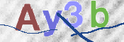 CAPTCHA (Şahıs Denetim Kodu) Resmi