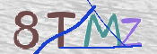 CAPTCHA (Şahıs Denetim Kodu) Resmi