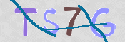 CAPTCHA (Şahıs Denetim Kodu) Resmi