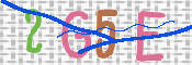 CAPTCHA (Şahıs Denetim Kodu) Resmi