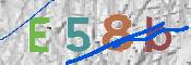 CAPTCHA (Şahıs Denetim Kodu) Resmi