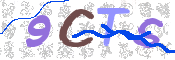 CAPTCHA (Şahıs Denetim Kodu) Resmi