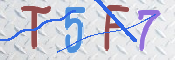CAPTCHA (Şahıs Denetim Kodu) Resmi