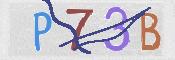 CAPTCHA (Şahıs Denetim Kodu) Resmi