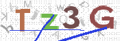CAPTCHA (Şahıs Denetim Kodu) Resmi