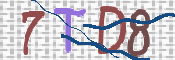 CAPTCHA (Şahıs Denetim Kodu) Resmi