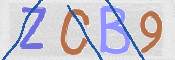 CAPTCHA (Şahıs Denetim Kodu) Resmi