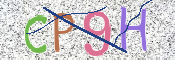 CAPTCHA (Şahıs Denetim Kodu) Resmi