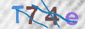 CAPTCHA (Şahıs Denetim Kodu) Resmi