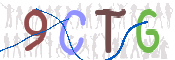 CAPTCHA (Şahıs Denetim Kodu) Resmi