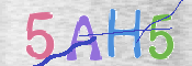 CAPTCHA (Şahıs Denetim Kodu) Resmi