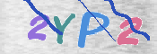 CAPTCHA (Şahıs Denetim Kodu) Resmi