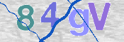 CAPTCHA (Şahıs Denetim Kodu) Resmi