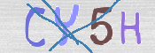 CAPTCHA (Şahıs Denetim Kodu) Resmi