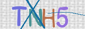 CAPTCHA (Şahıs Denetim Kodu) Resmi