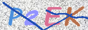 CAPTCHA (Şahıs Denetim Kodu) Resmi