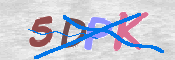 CAPTCHA (Şahıs Denetim Kodu) Resmi