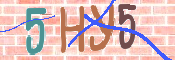 CAPTCHA (Şahıs Denetim Kodu) Resmi