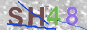 CAPTCHA (Şahıs Denetim Kodu) Resmi