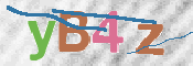 CAPTCHA (Şahıs Denetim Kodu) Resmi