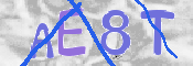 CAPTCHA (Şahıs Denetim Kodu) Resmi